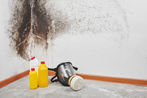 Best Mold Cleaning Services  in Howell, MI