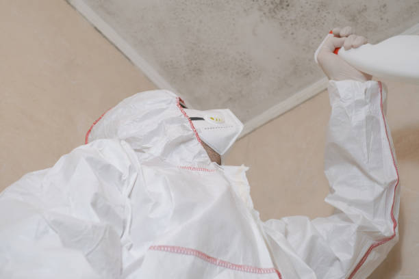 Best Office Mold Removal Services  in Howell, MI